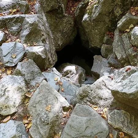 за гости Guest house *