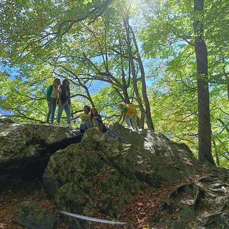за гости Rila
