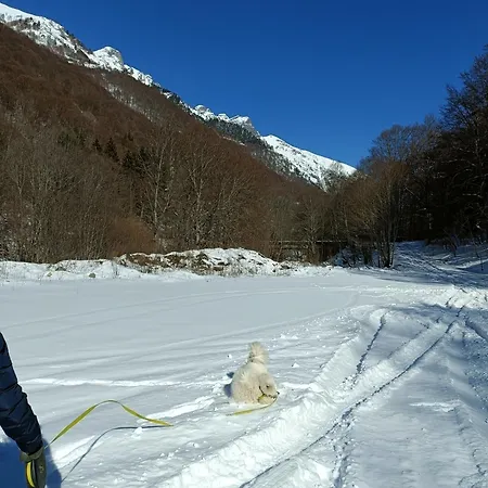 Affittacamere за гости Rila