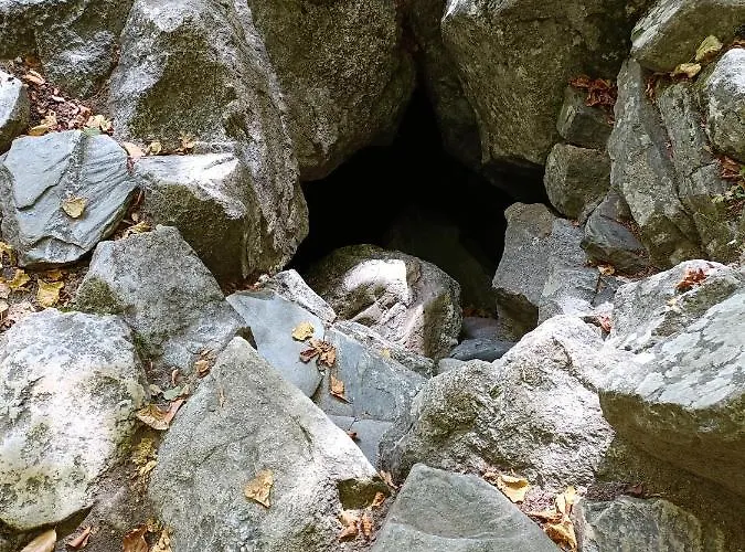 за гости Gæstehus *