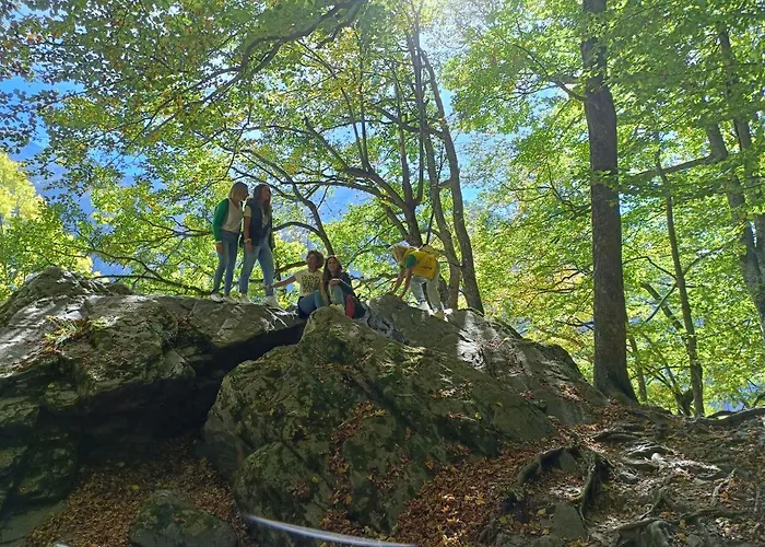 за гости Rila