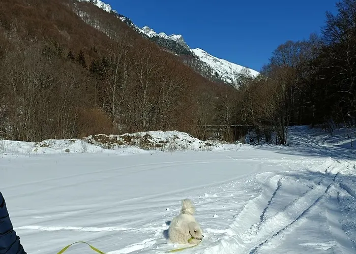 Gæstehus за гости Rila